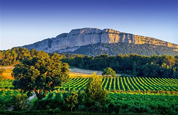 Le Pic Saint Loup, terre de randonnées