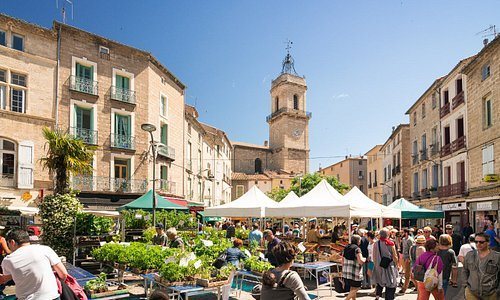 Le marché dominical de Pézenas - Hérault