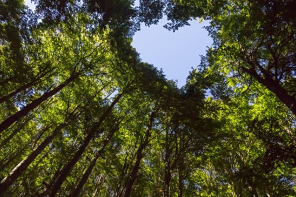 Et si l'amour prenait le temps ? 