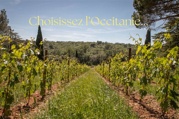 Holidays in Occitanie: why is it the ideal region for summer? 