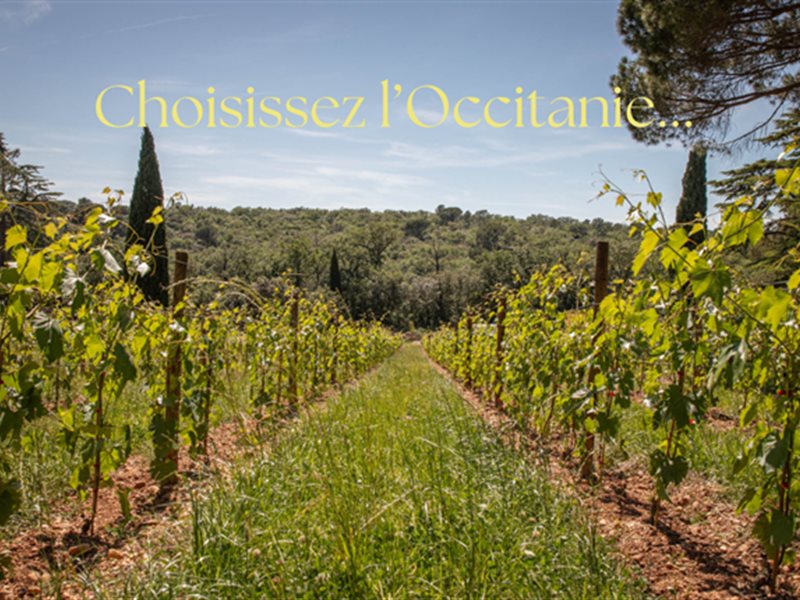 Vacances d'été en Occitanie