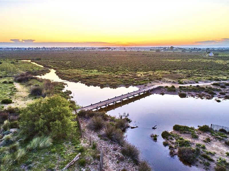Chemin des Orpellières à Sérignan