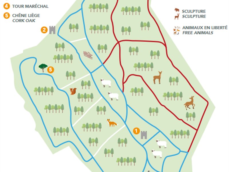 parc, vtt , gite de luxe 